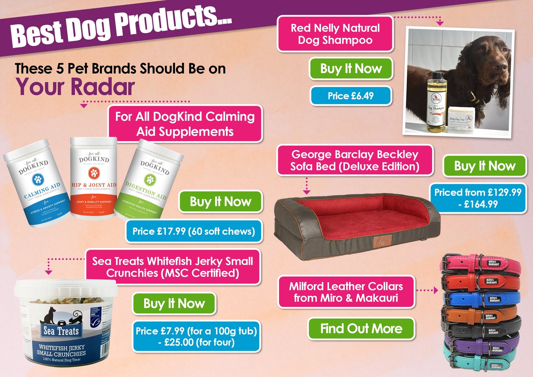 K9 Magazine's Top 5 Best Dog Products