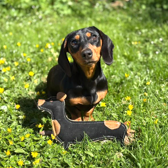 Eco Dog Toys By Miro & Makauri - Douglas Dachshund