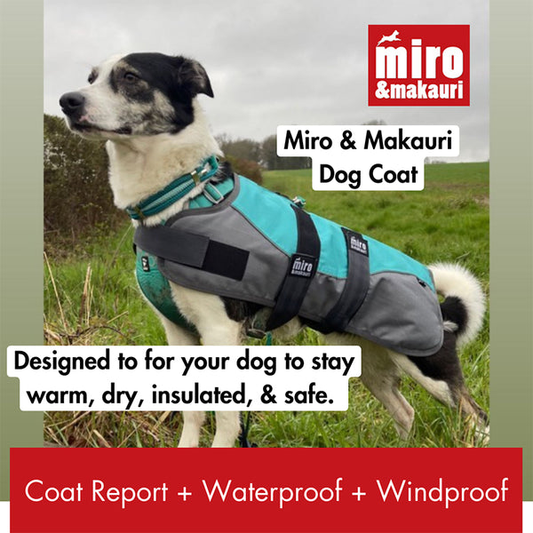 Miro & Makauri Winter Dog Coat 