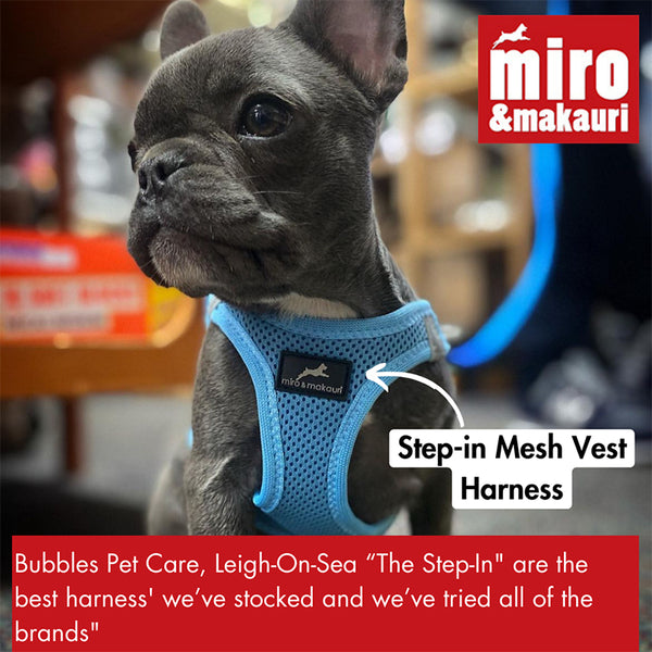 Step-in Air Mesh Dog Harness (8 Colours).  Up to 20% off Available.
