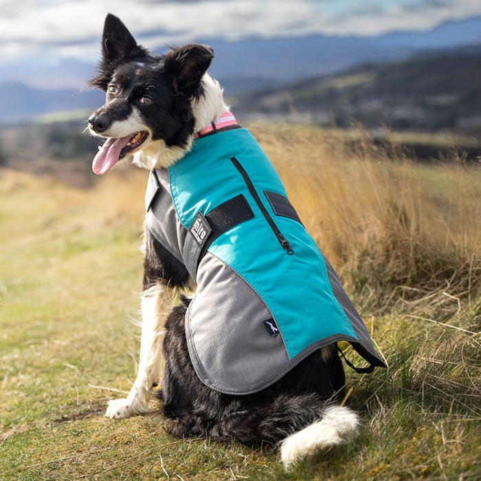 Miro & Makauri Winter Dog Coat "Teal & Grey"