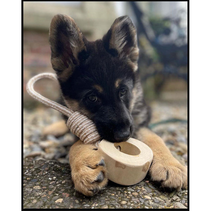 puppu chewing Coffee wood dog chew - Natural Chew N Tug Toy