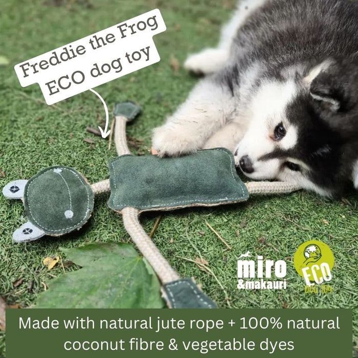 Eco dog toys - dog chewing Freddie frog's leg