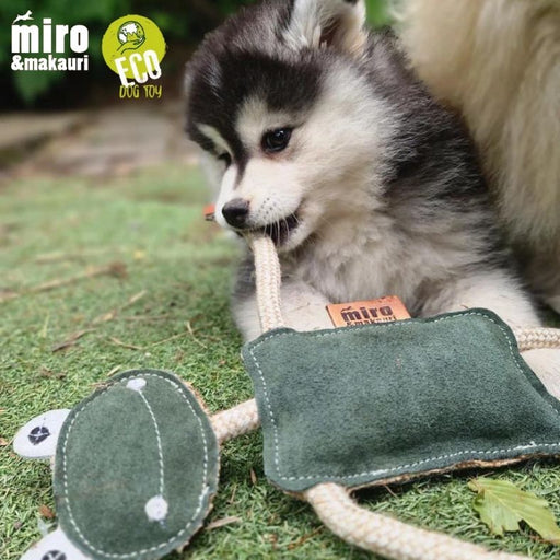 Eco dog toys - dog chewing Freddie frog's arm