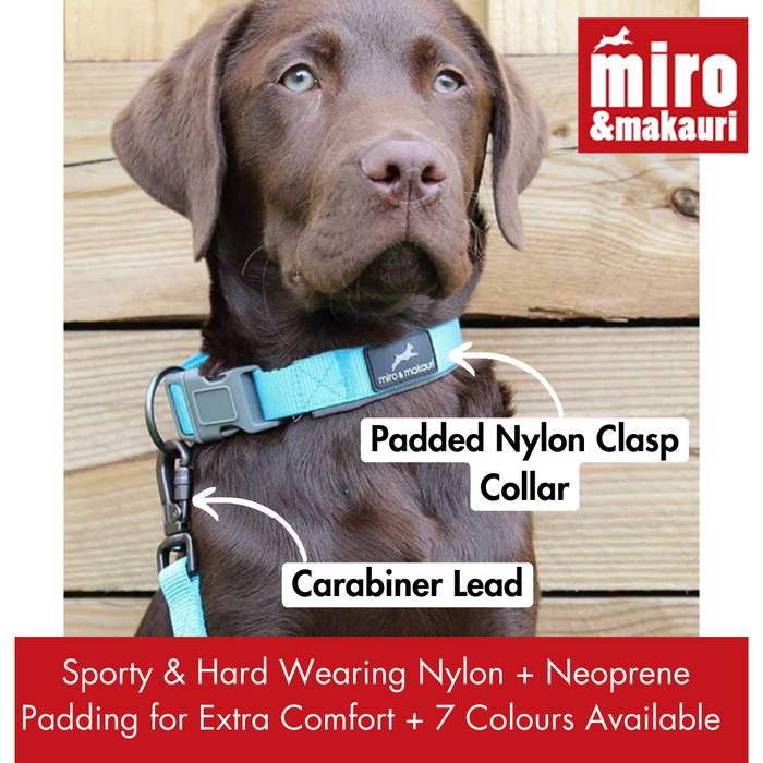 Retail Displays - Special Offers - "Oxbow" Padded Nylon Collars & Leads