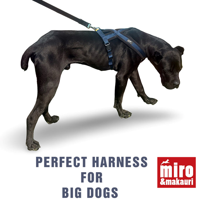 Miro & Makauri Premium Fleece Padded Dog Harness
