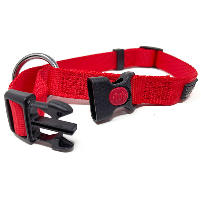 Special Offer - 10% OFF - "Belay" Nylon Collars & Leads. 65% Margins