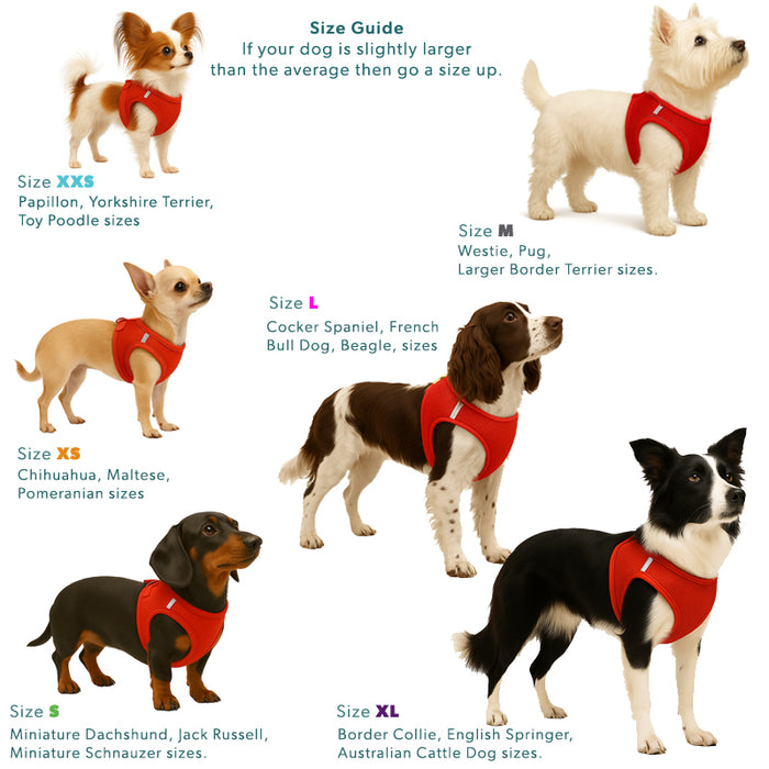 Step-in Air Mesh Dog Harness (8 Colours).  Up to 20% off Available.