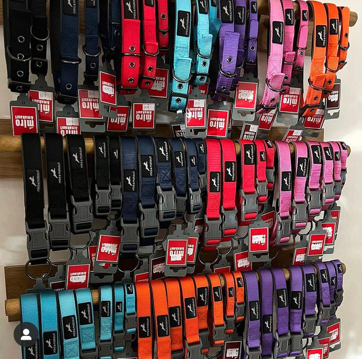 Retail Displays - Special Offers - "Oxbow" Padded Nylon Collars & Leads