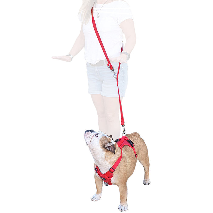 Miro & Makauri Adventurer Harness