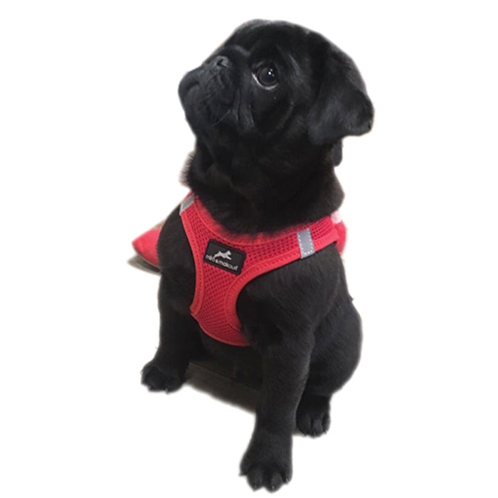 Miro & Makauri Step In Air Mesh harness