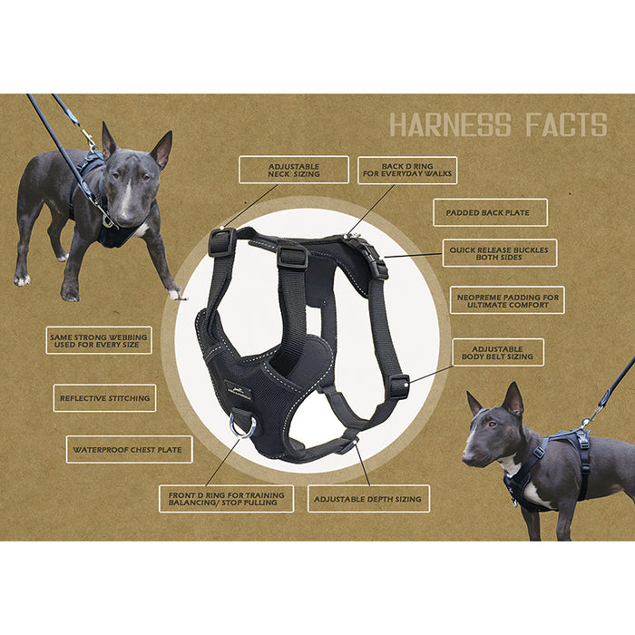 Adventurer, Training Body Harness - Miro&Makauri