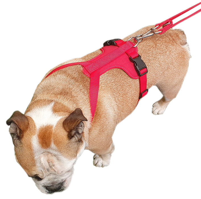 Dog Traiining Harness  Miro & Makauri Adventurer Harness