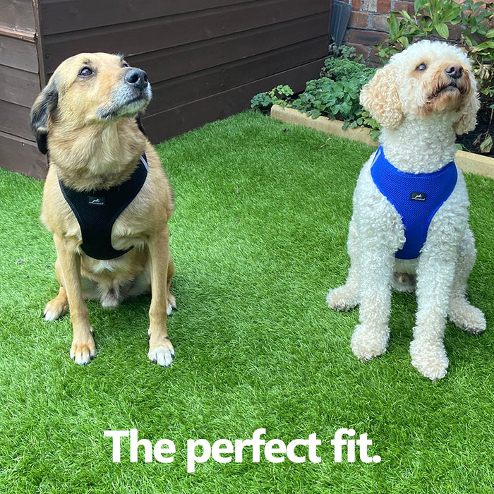 Step-in Air Mesh Dog Harness (8 Colours).  Up to 20% off Available.