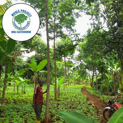 Miro & Makauri increase donations for United Nations Association ‘Tree Planting’ Scheme