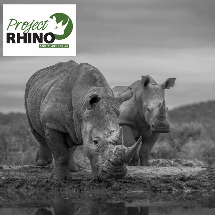 Project Rhino - August 2026  Update