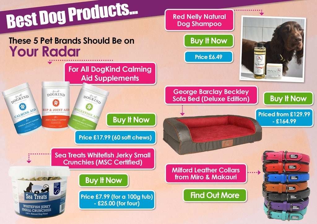 K9 Magazine's Top 5 Best Dog Products