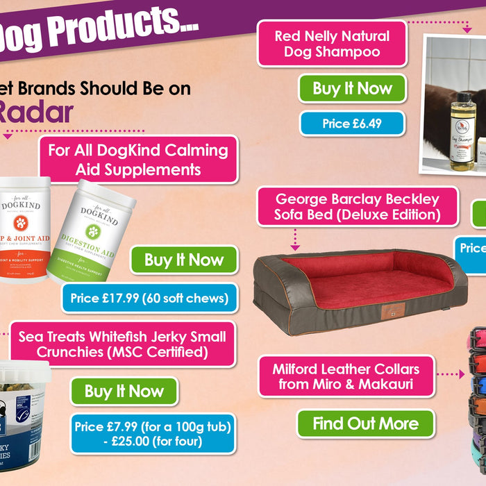 K9 Magazine's Top 5 Best Dog Products