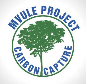 Our Carbon Offsetting Commitment | Miro & Makauri Sustainability