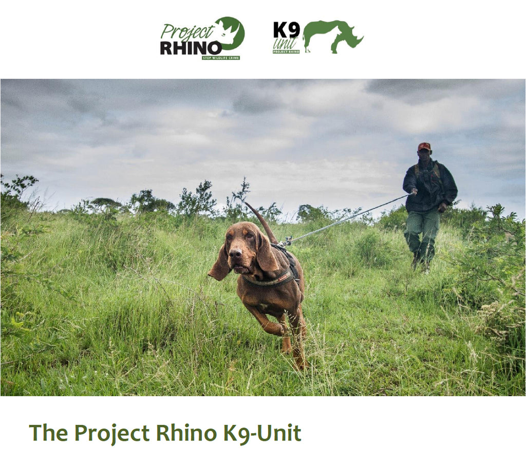 We Sponsor Project Rhino. Read about them here