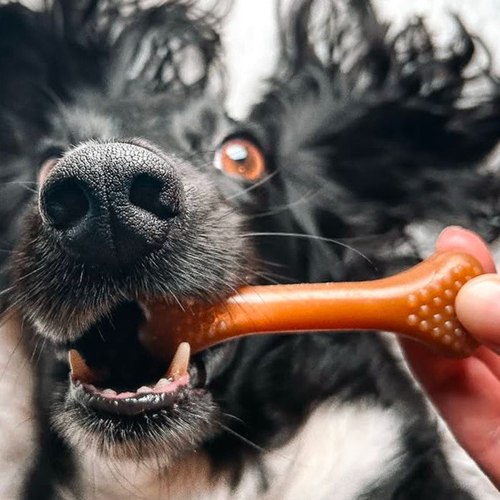 Vegan Dog Treats - Maks Patch 'Nubby Bones'