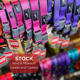 Collars & Leads