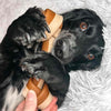 Vegan Dog Chews - Maks'Patch Knotted Bones - 2 sizes