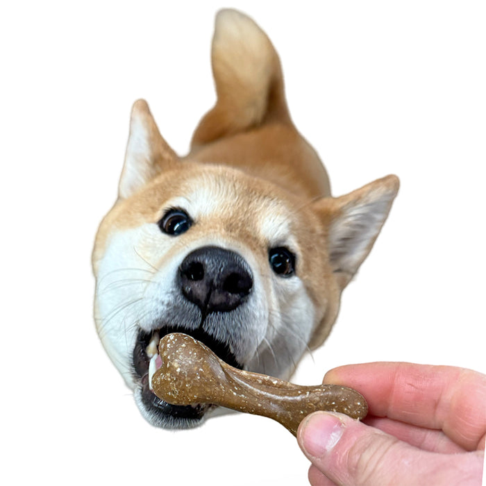 " NEW"  Vegan Dog Treats - "Time for Bed", Biscuits.