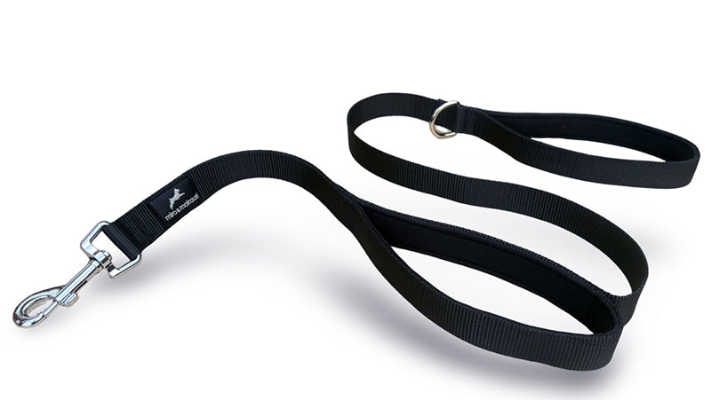 Double Handled Dog Lead