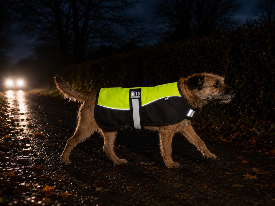 Miro & Makauri Winter Dog Coat "Be Seen Reflective"
