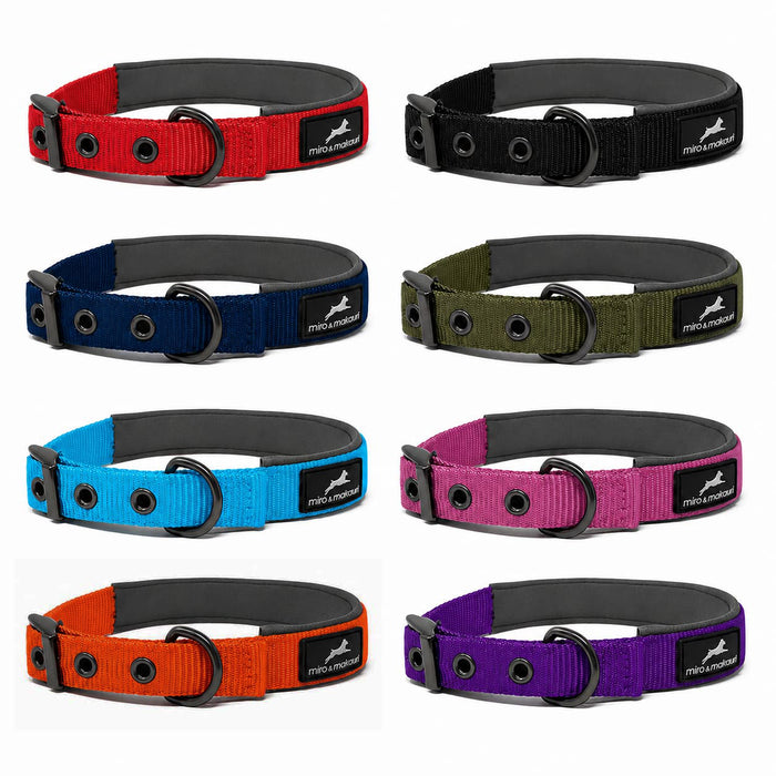 Miro & Makauri Padded Nylon Buckle Dog Collars