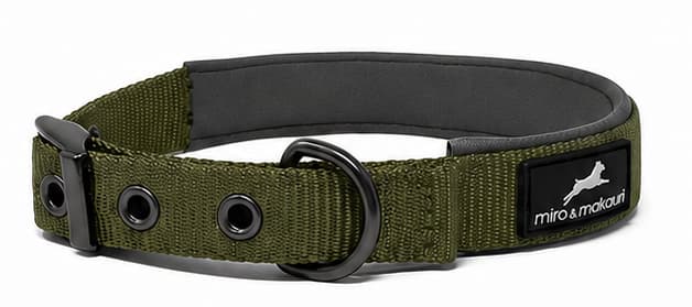 Miro & Makauri Padded Nylon Buckle Dog Collars