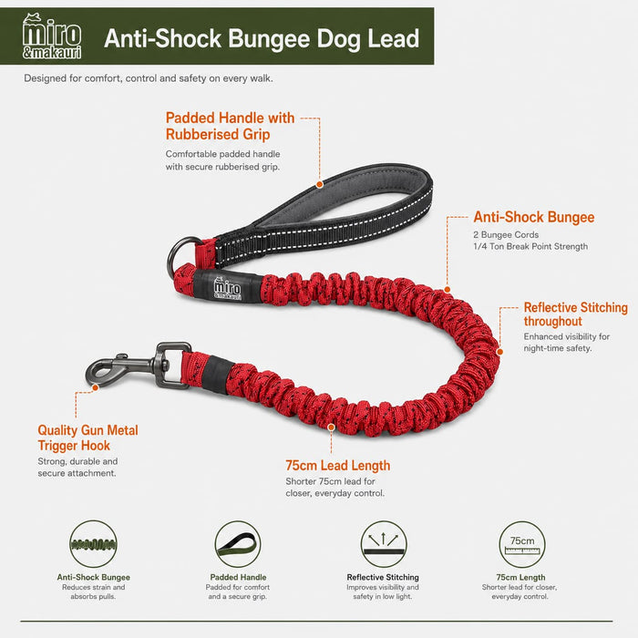 Bungee Dog Lead - the Miro & Makauri Anti Shock 75cm