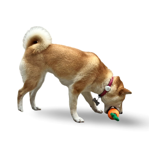 dog biting MaksPatch Rubber Dog Treat Dispenser Carrot Toy