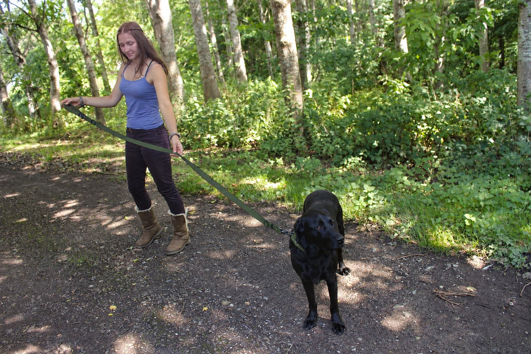 Miro & Makauri Adjustable "Double the Length" Dog Leads