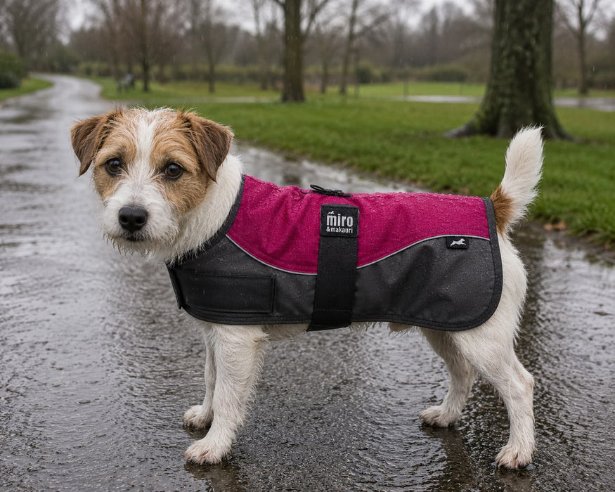 Miro & Makauri Winter Dog Coat "Rasberry & Grey"