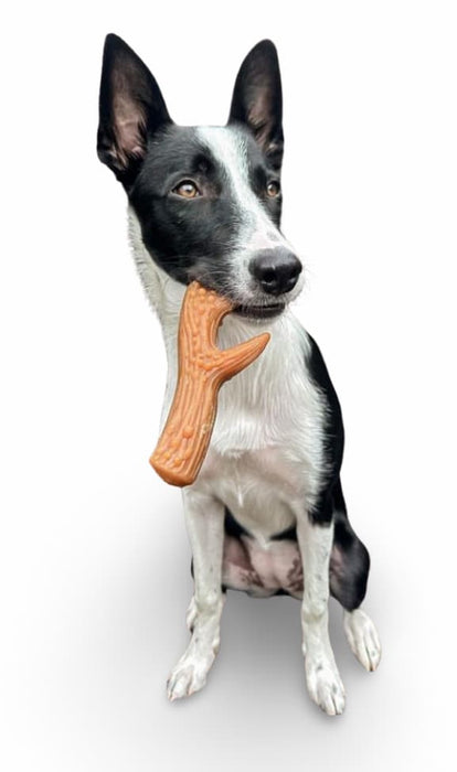 Large Vegan Dog Treats - Maks Patch Peanut Butter Antlers