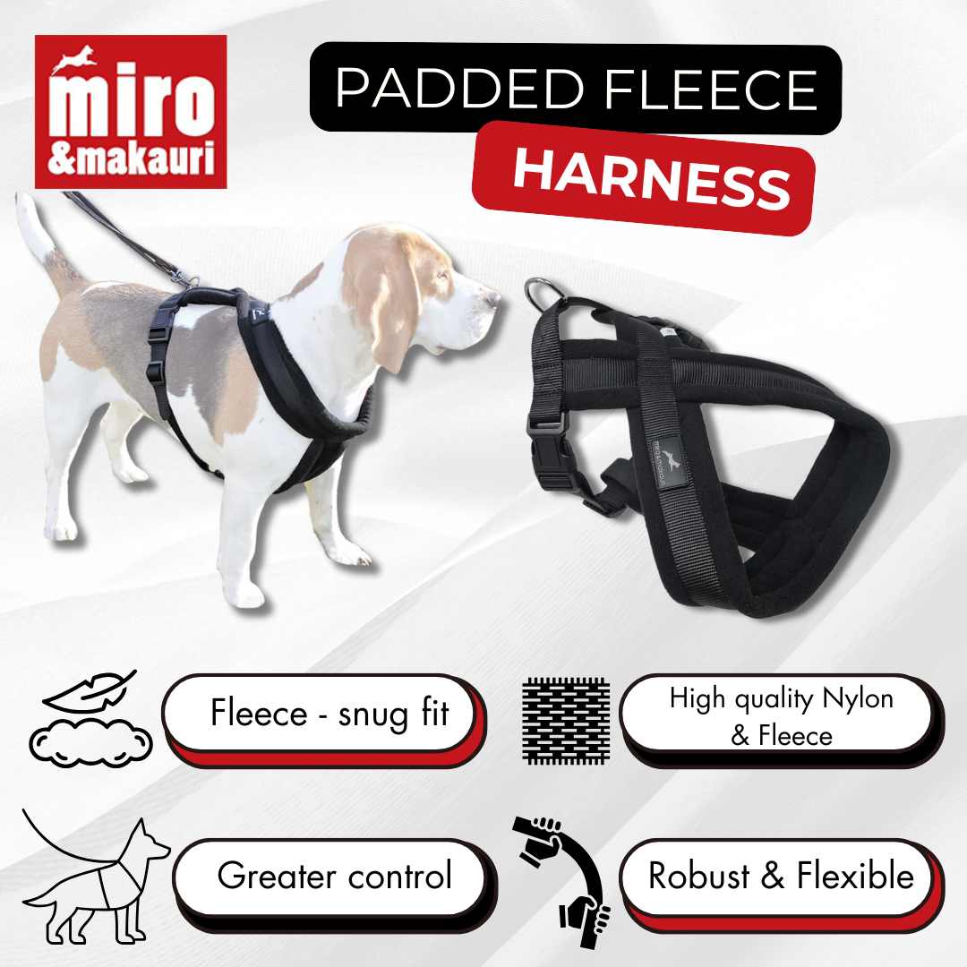 Fleece Padded Harness