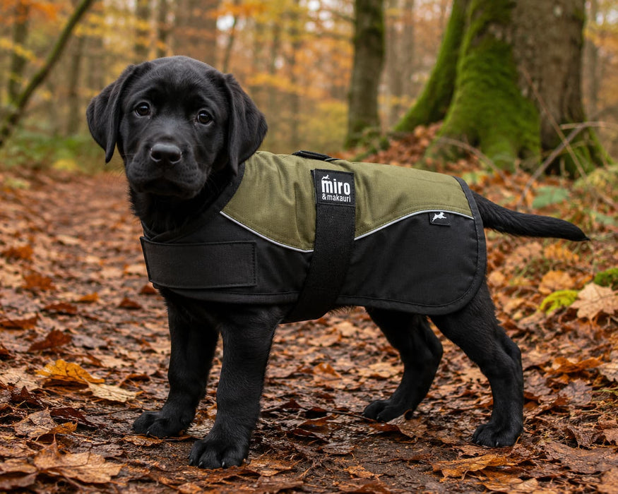Miro & Makauri Winter Dog Coat "Black & Khaki"
