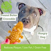 Dog waiting for vegan dog treats, a peanut butter crocodile