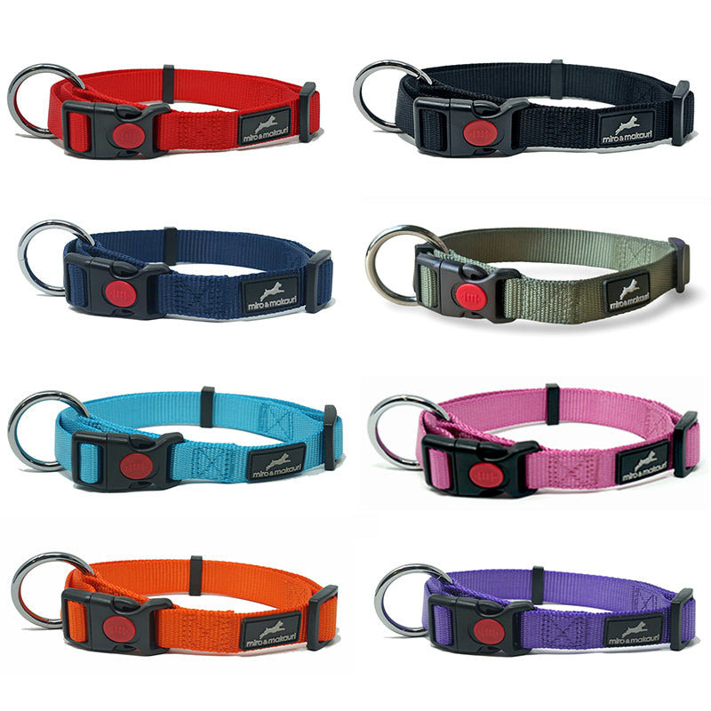 All Collars & Leads