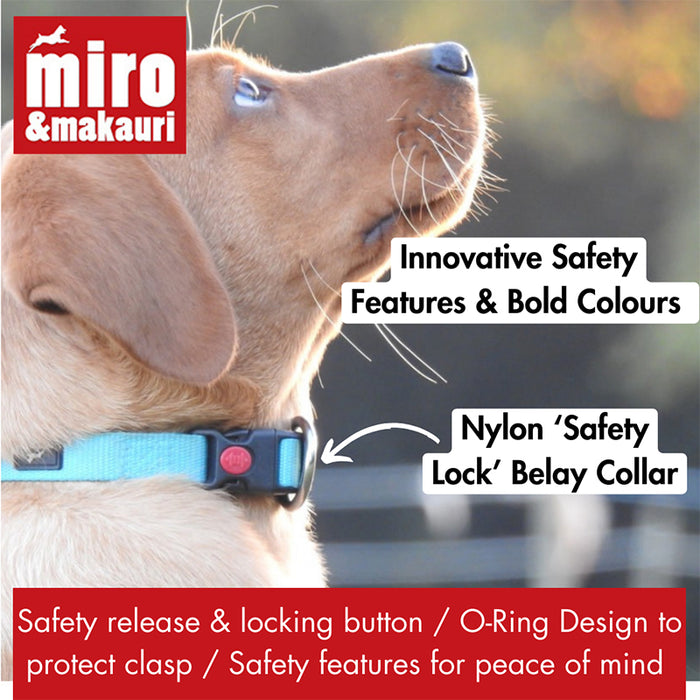 puppy wearing Belay collar from Miro & Makauri