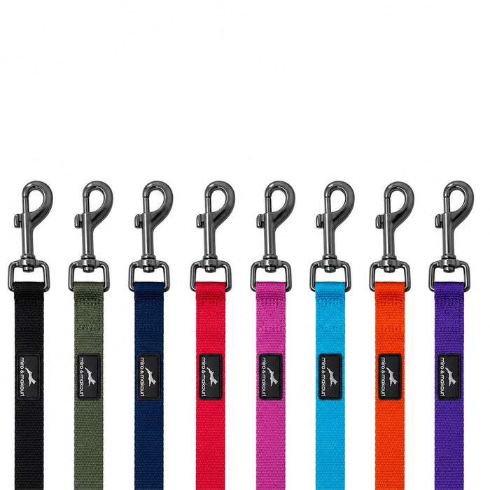 Nylon Dog Leads with Padded Handle - the 'Miro & Makauri' Belay Leads