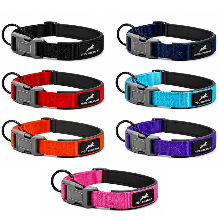 Nylon Dog Collar / w adjustable clasp & neoprene padding