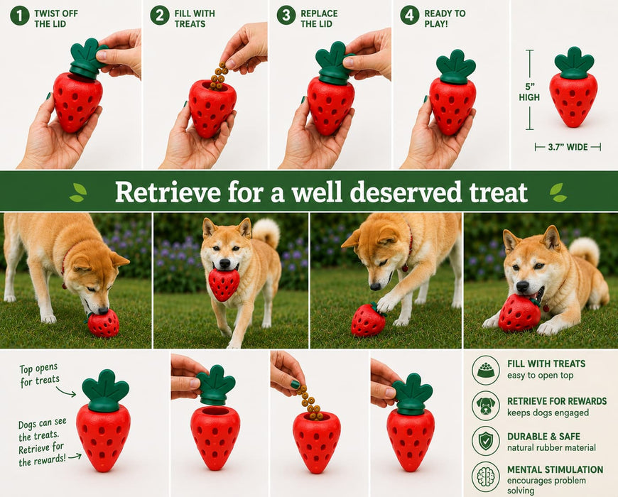 Strawberry "Dog Treat" Dispenser