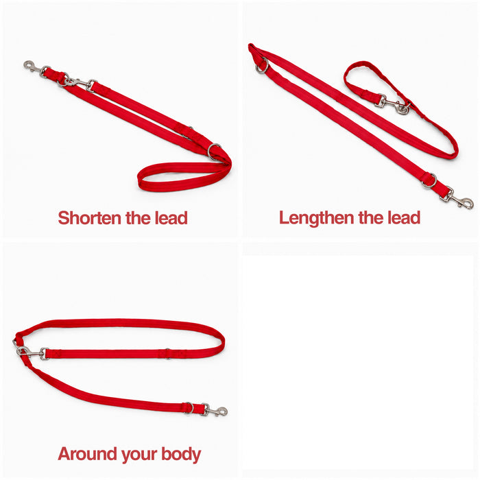 Training Dog Lead - 3 point' Double-Ended Lead