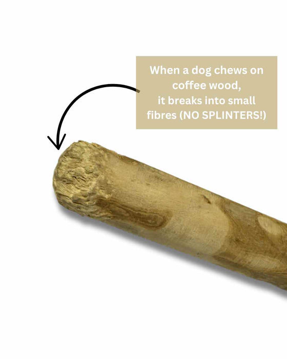 Coffee wood dog chew - 3 sizes (Order 6 for 30% off)