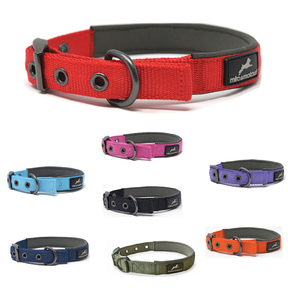 Miro & Makauri Padded Nylon Buckle Dog Collars