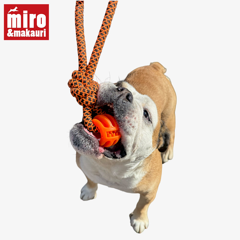 Treats N Tugs (order 12 for 25% off )