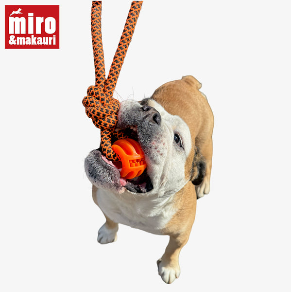 Treats N Tugs (order 12 for 25% off )